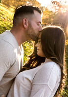 _HDS7290
